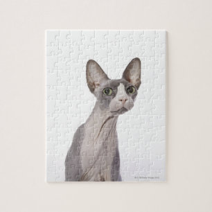 Sphynx Cat met verraste expressie Legpuzzel