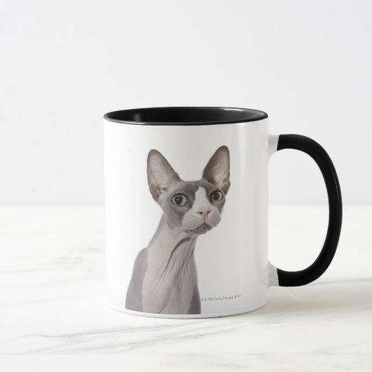Sphynx Cat met verraste expressie Mok (Rechts)
