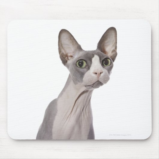 Sphynx Cat met verraste expressie Muismat (Voorkant)