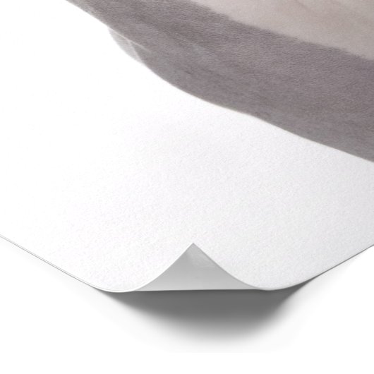 Sphynx Cat met verraste expressie Poster (Hoek)