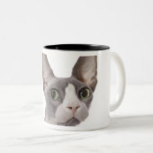 Sphynx Cat met verraste expressie Tweekleurige Koffiemok (Voorkant rechts)