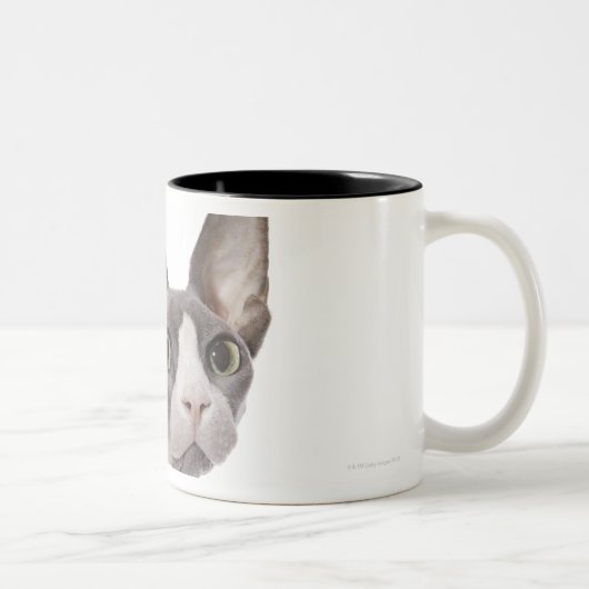 Sphynx Cat met verraste expressie Tweekleurige Koffiemok (Rechts)