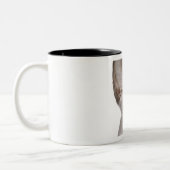 Sphynx Cat met verraste expressie Tweekleurige Koffiemok (Links)