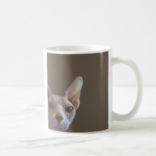 Sphynx Cat Mok