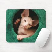 Sphynx Cat Mousepad | GoSphynx.com Muismat (Met muis)