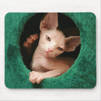 Sphynx Cat Mousepad | GoSphynx.com Muismat