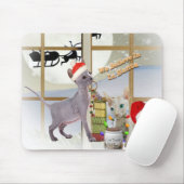 Sphynx Cat Muismatten (Met muis)