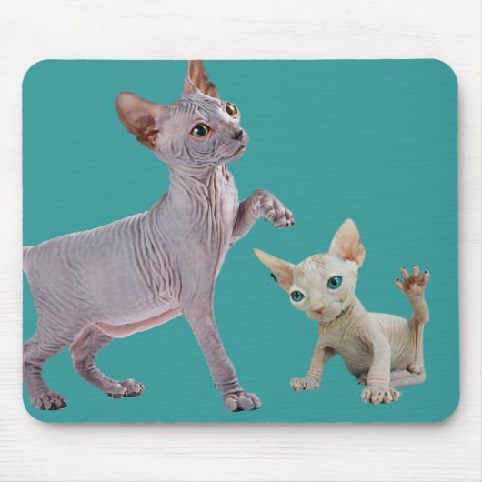 Sphynx Cat Muismatten (Voorkant)