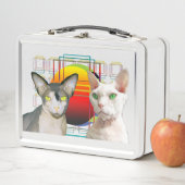 Sphynx Cat Ninja Devon Rex Casper (In situ)