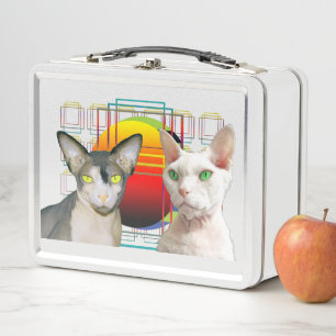 Sphynx Cat Ninja Devon Rex Casper