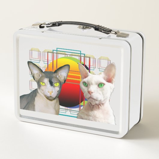 Sphynx Cat Ninja Devon Rex Casper (Achterkant)