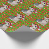 Sphynx Cat Ninja Santa Kerstmis Holi Green Gift Cadeaupapier (Hoek)