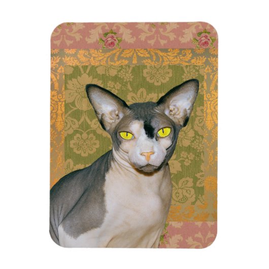 Sphynx Cat Patchwork Floral Damask design Magneet (Verticaal)