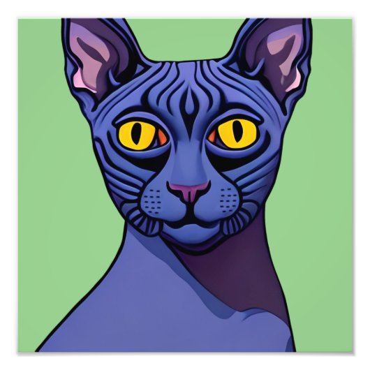 Sphynx Cat Photo Print Foto Afdruk (Voorkant)