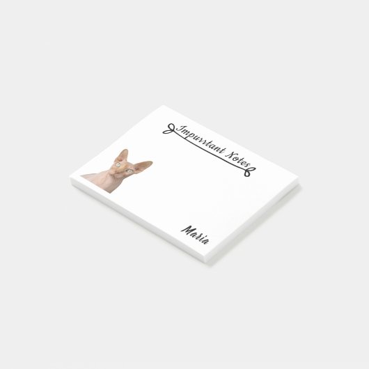 Sphynx Cat. Post-it® Notes (Schuin)