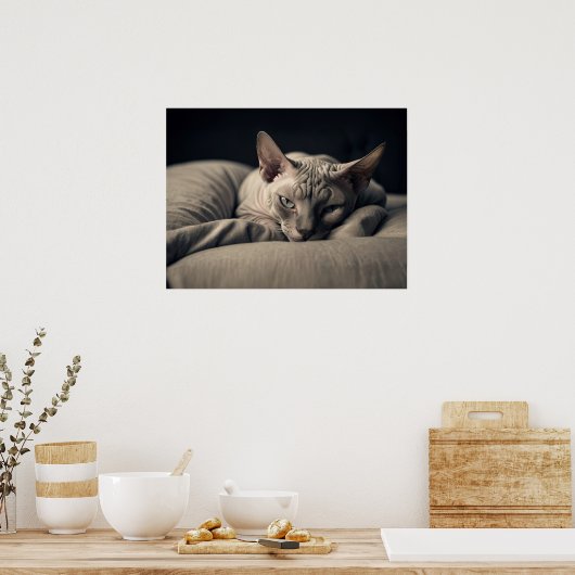 Sphynx Cat Poster (Keuken)