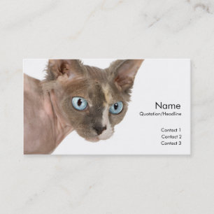 Sphynx Cat Profile Card Visitekaartje