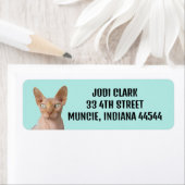 SPHYNX CAT RETURN ADRES ETIKETTERS ETIKET (Insitu)