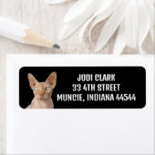 SPHYNX CAT RETURN ADRES ETIKETTERS ETIKET (Insitu)