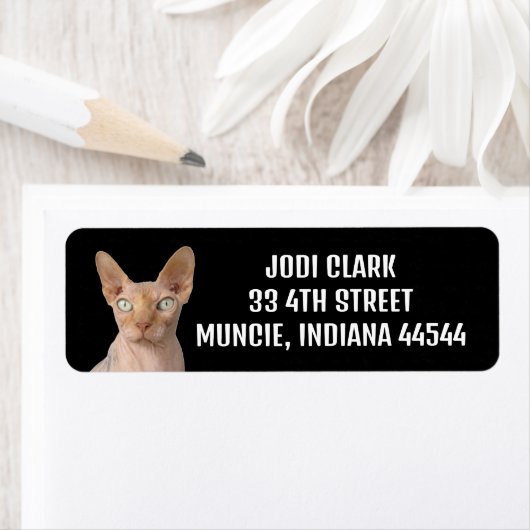 SPHYNX CAT RETURN ADRES ETIKETTERS ETIKET (Insitu)