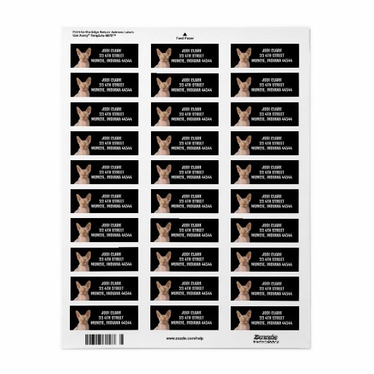 SPHYNX CAT RETURN ADRES ETIKETTERS ETIKET (Full Sheet)