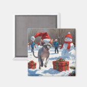 Sphynx Cat Running in Snow met kerst Pet Magneet (Voorkant / Achterkant)