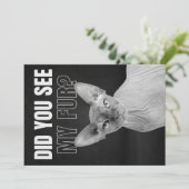 Sphynx Cat Sarcastic Fur Humor Illustration Feestdagenkaart (Staand voorkant)