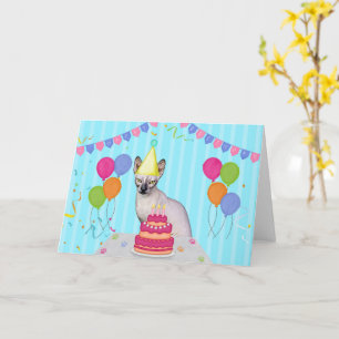 Sphynx Cat Verjaardagsvakantie Kaart