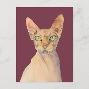 Sphynx Cat Waterverf Portret Briefkaart