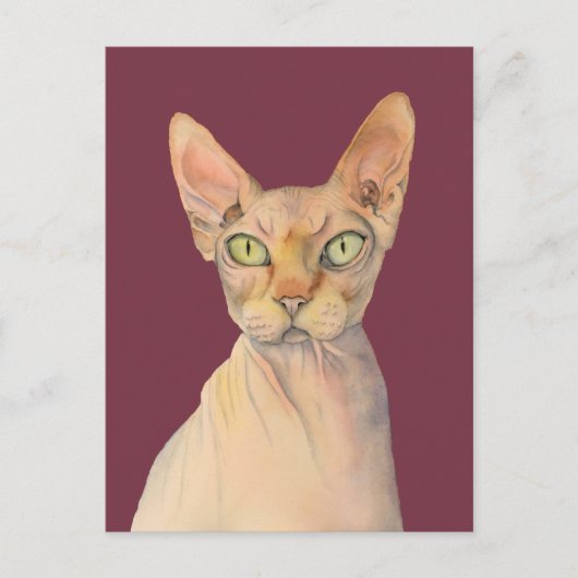 Sphynx Cat Waterverf Portret Briefkaart (Voorkant)