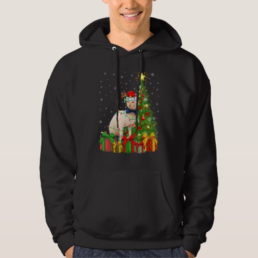 Sphynx Cat Xmas Lights Santa Sphynx Cat Christma Hoodie (Voorkant)