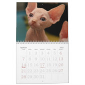 Sphynx Cats Wall Agenda | GoSphynx.com Kalender (Mar 2027)