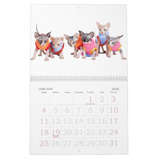 Sphynx Cats Wall Agenda | GoSphynx.com Kalender (Jan 2026)