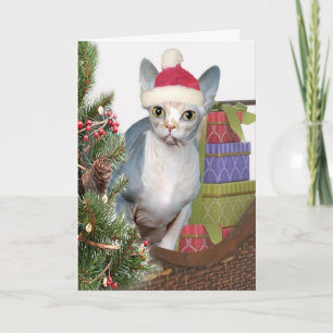 Sphynx Christmas Feestdagen Kaart