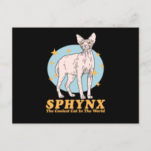 Sphynx Coolest Cat Sphynx Cats Briefkaart