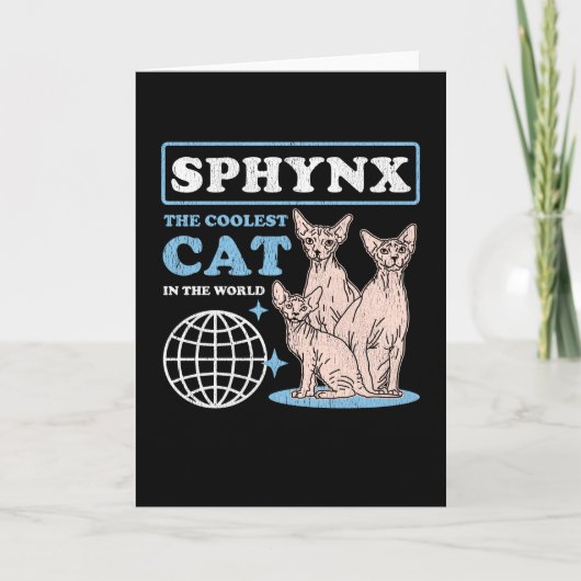 Sphynx Coolest Cat | Sphynx Cats Kaart (Voorkant)