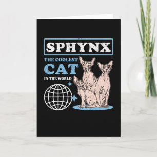 Sphynx Coolest Cat   Sphynx Cats Kaart