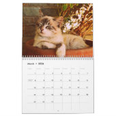 sphynx Cute Cat Kalender (Mar 2026)