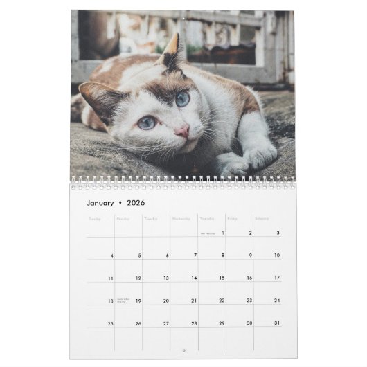 sphynx Cute Cat Kalender (Jan 2026)