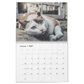 sphynx Cute Cat Kalender (Jan 2027)