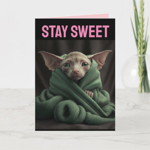 SPHYNX CUTE HAARLOZE KAT GROTE VALENTIJNSDAG KAART