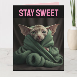 SPHYNX CUTE HAARLOZE KAT VALENTIJN DAG GROET KAART