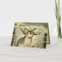 Sphynx engel met diepste sympathie