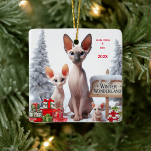 Sphynx familie gepersonaliseerde kerst ornament