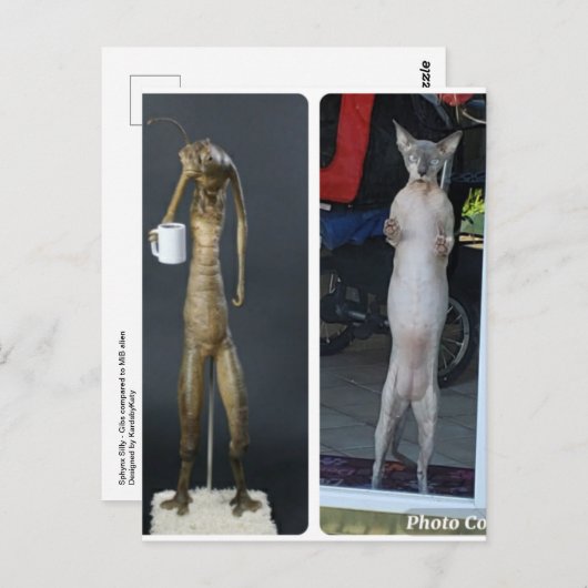 Sphynx Gekke - Gibs vergeleken met MiB alien Brief Briefkaart (Voorkant / Achterkant)