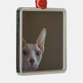 Sphynx Hairless Cat Mini Lijst Ornament (Rechts)