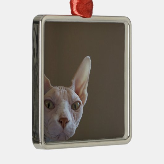 Sphynx Hairless Cat Mini Lijst Ornament (Rechts)