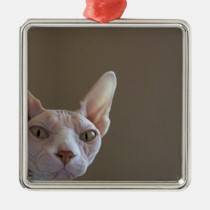 Sphynx Hairless Cat Mini Lijst Ornament