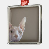 Sphynx Hairless Cat Mini Lijst Ornament (Links)