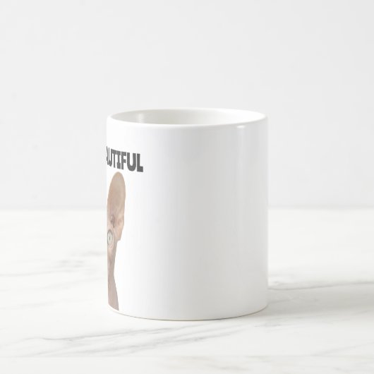 SPHYNX HAIRLESS CATS, mokken, Bald is mooie Koff Koffiemok (Center)